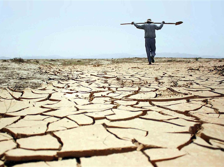 خشکسالی کشت تابستانه در خوزستان را به یک چهارم کاهش داد
