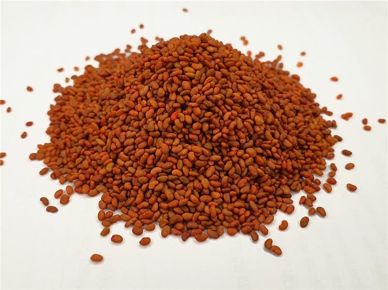 بذر هیبرید چیست؟