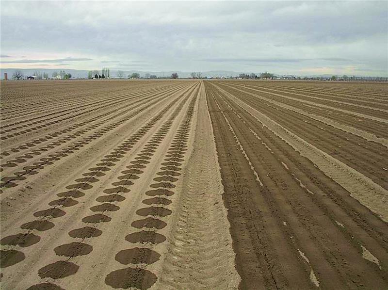 آبیاری زیر سطحی