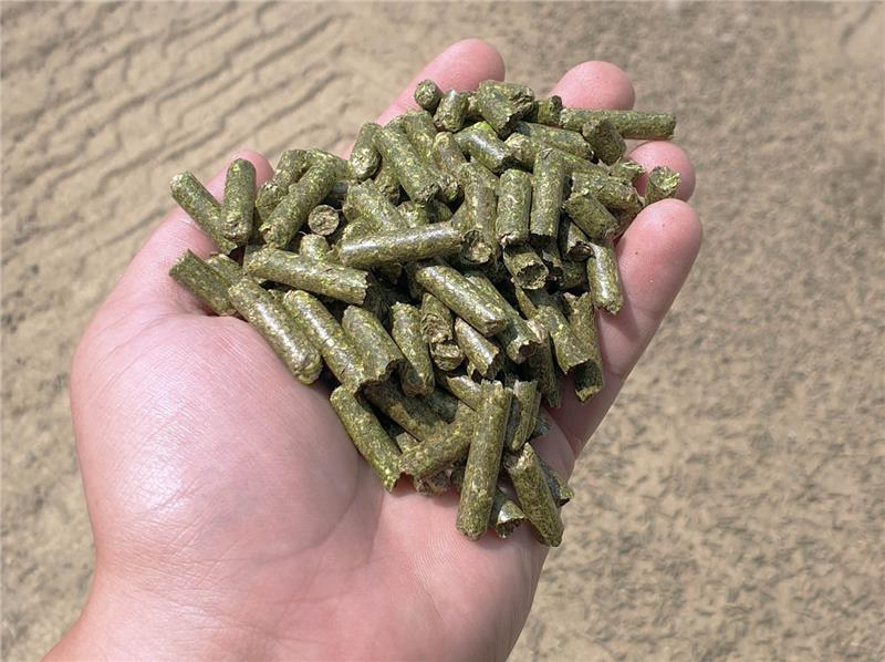 توضیح موارد مصرف و کاربرد پودر و پلت یونجه