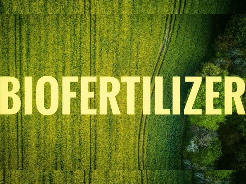 انواع کود های زیستی و مزایای آن