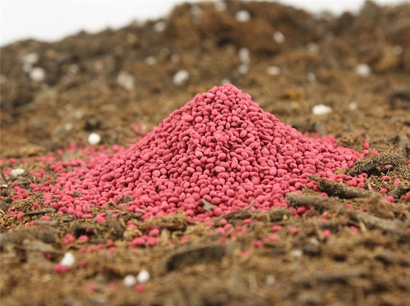 ویژگی های یک بذر خوب