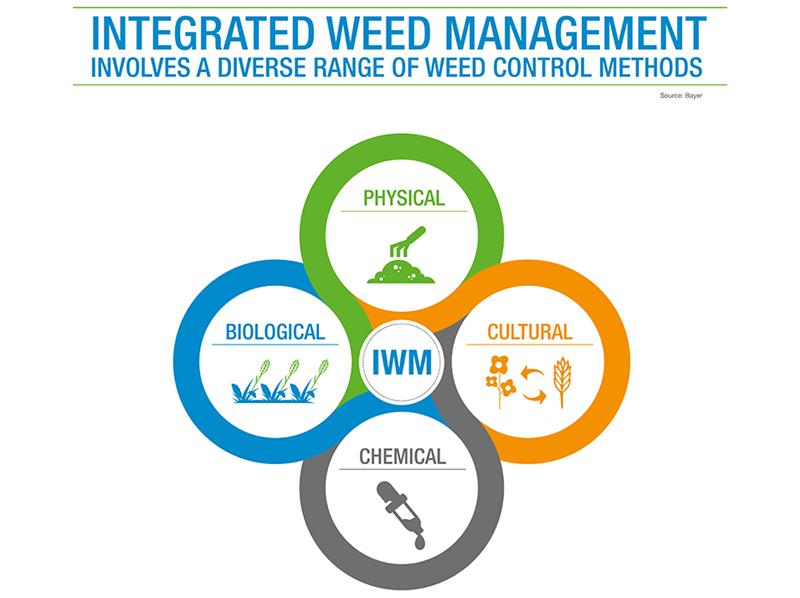 مدیریت تلفیقی به عنوان نسل جدید مدیریت علفهای هرز