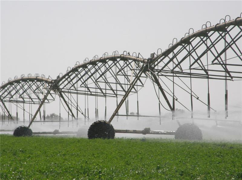 اصول آبیاری مزراع یونجه