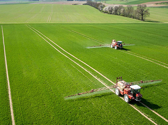 اصول صحیح تغذیه یونجه